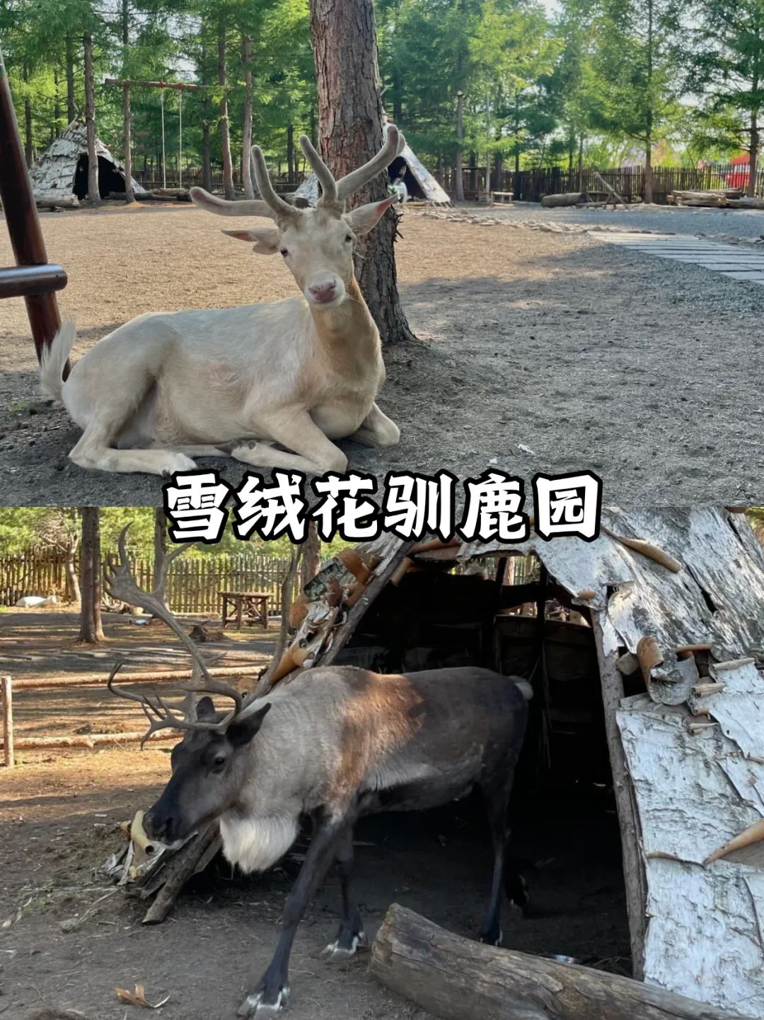 长白山二道白河镇游玩攻略！第一次来必看