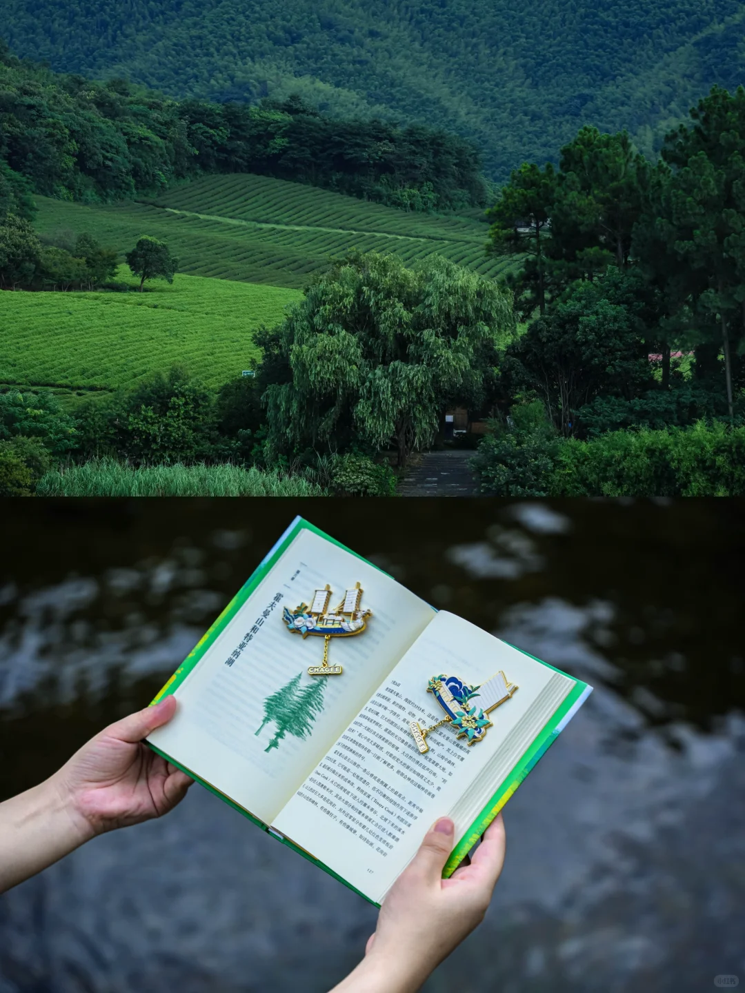 七月，去宜兴的山野间疗愈自己