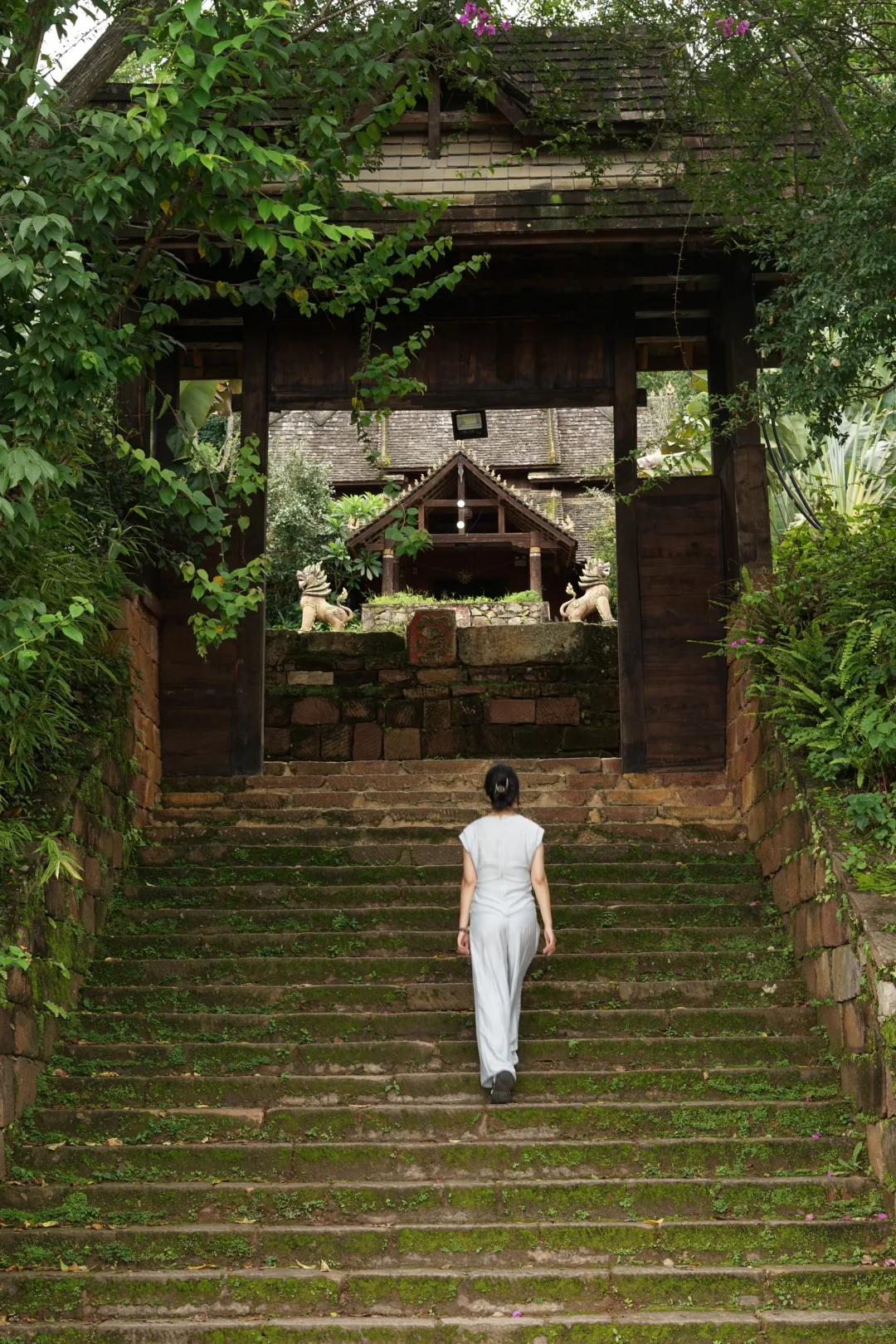 旅行｜景迈山｜被森林环绕的乌托邦