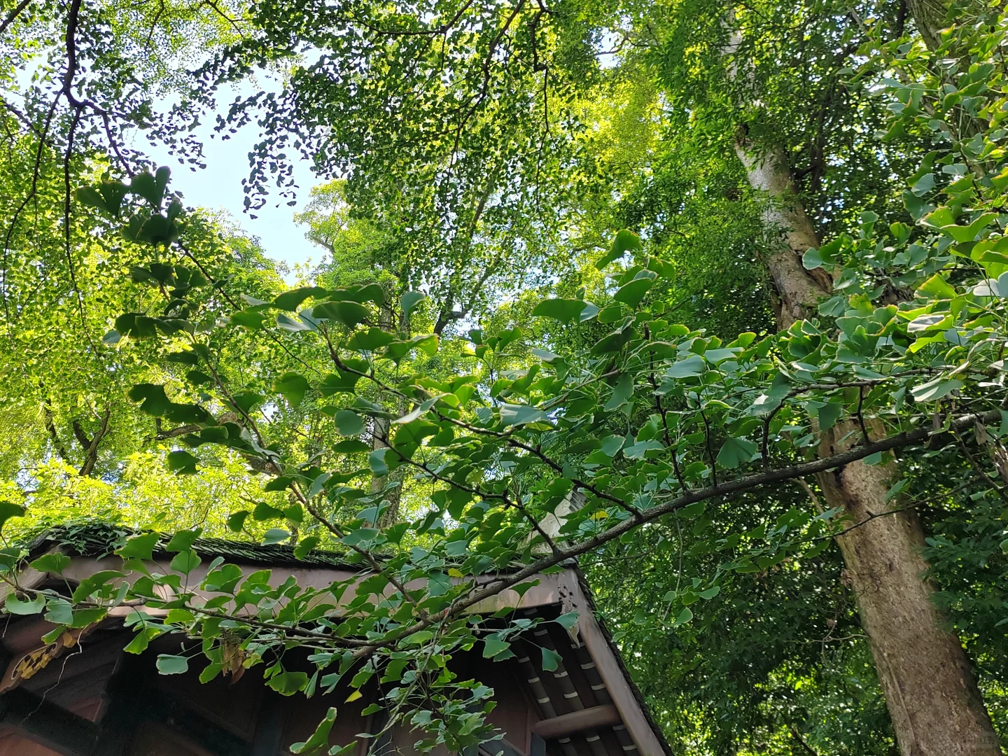 都江堰景区