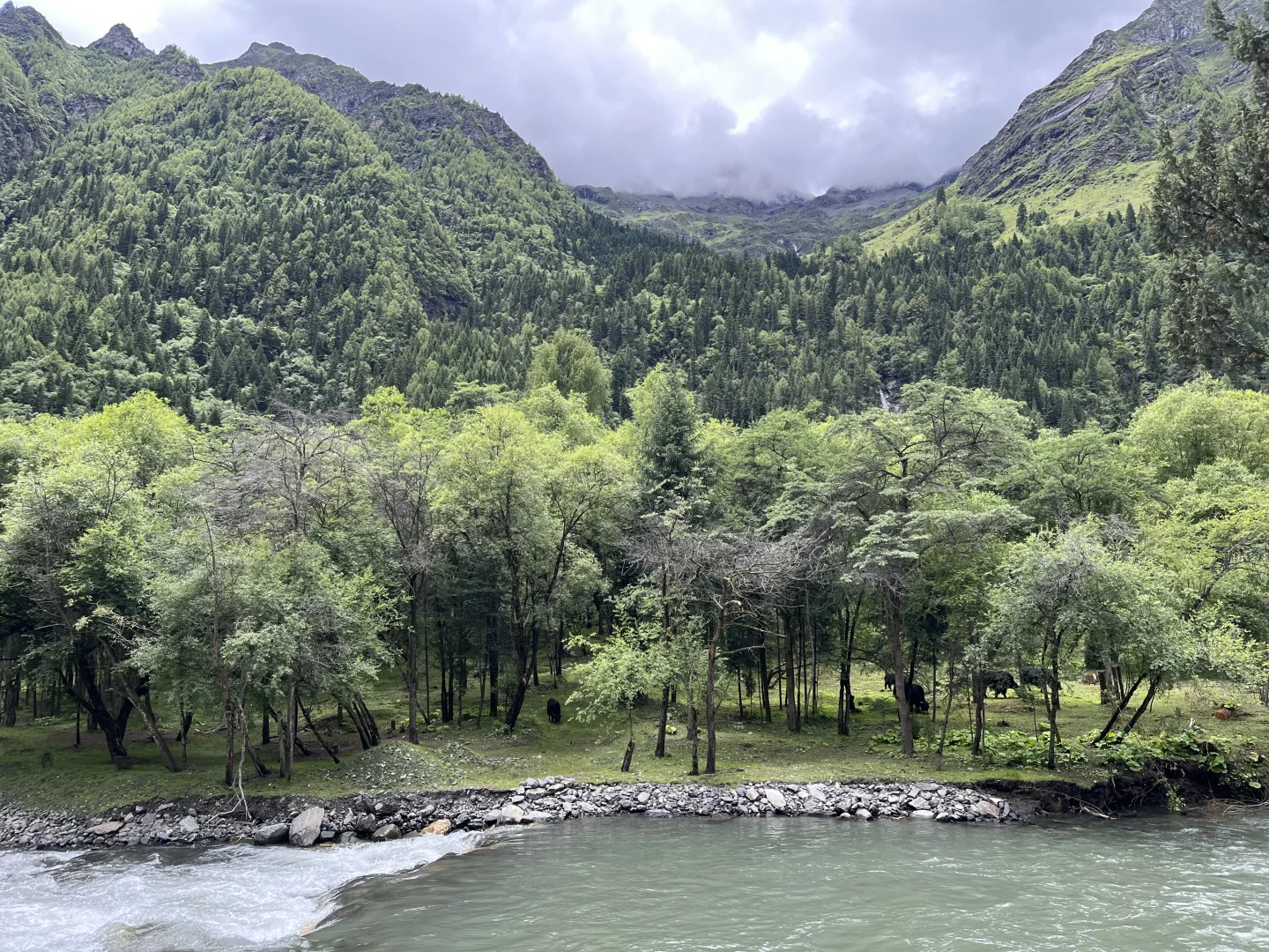 四姑娘山