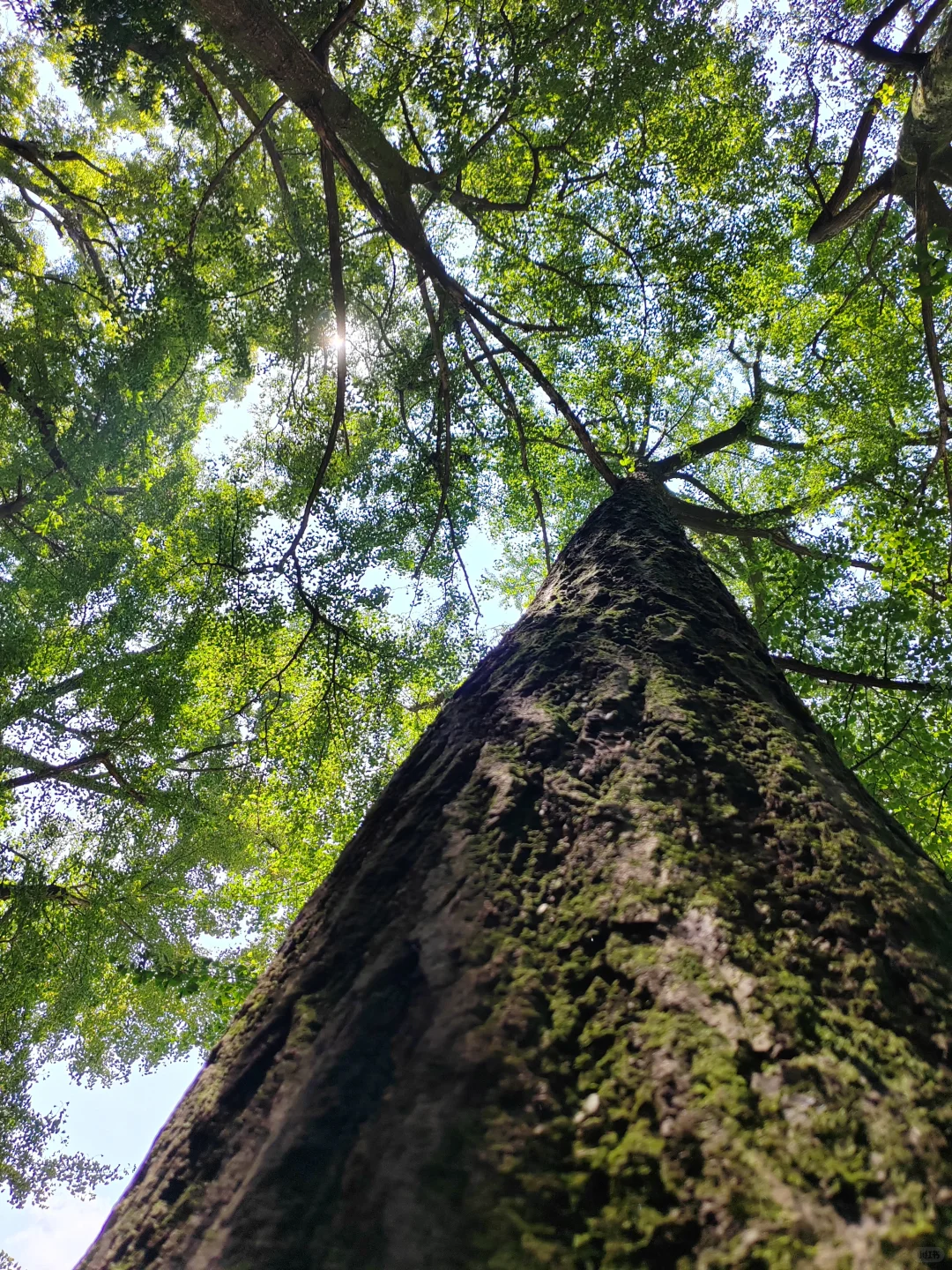 都江堰景区