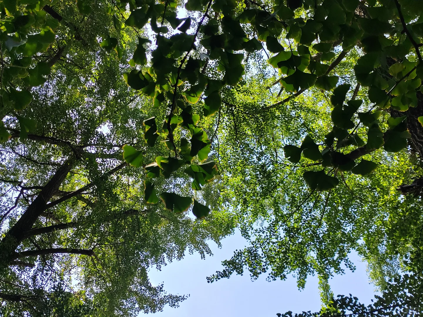 都江堰景区