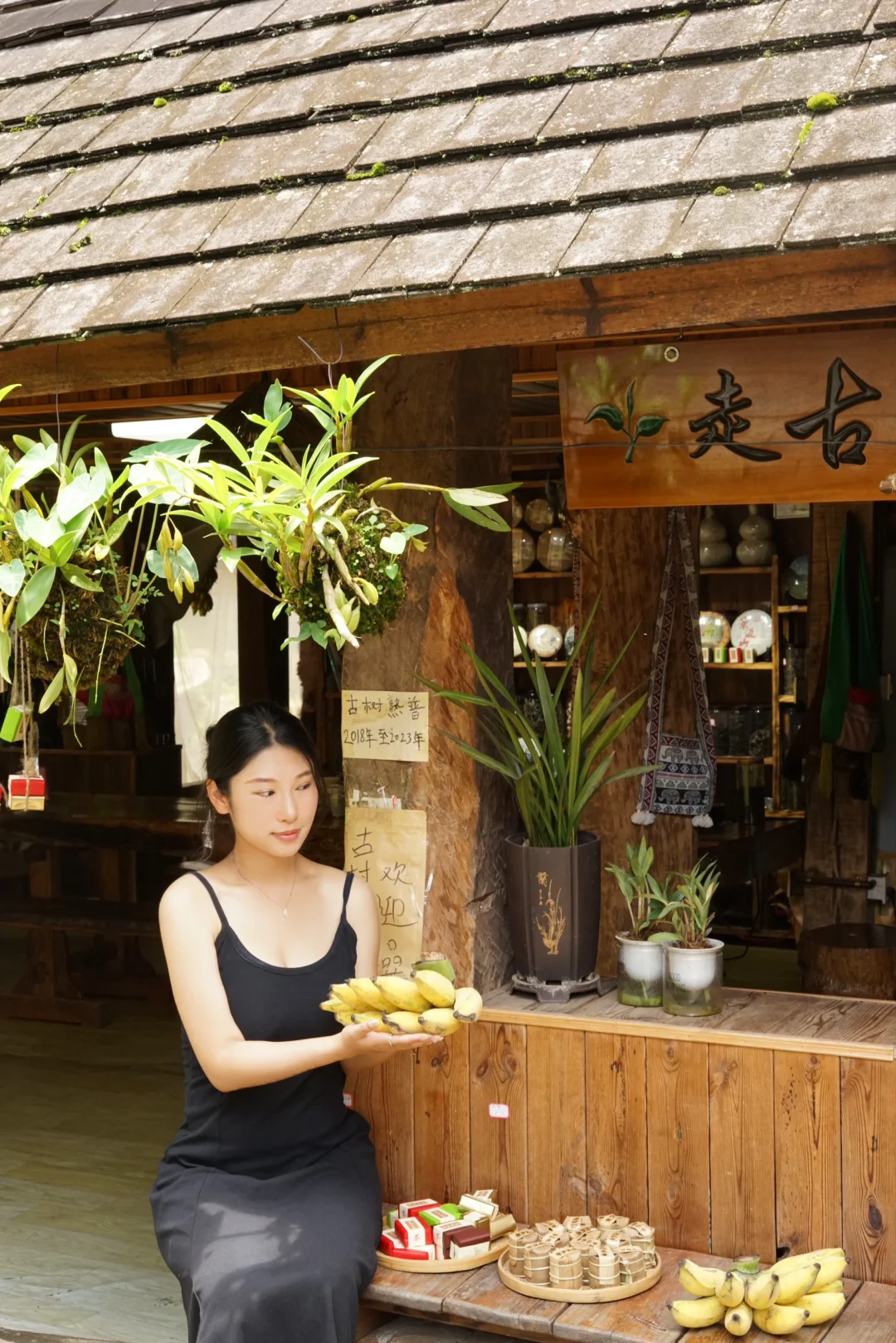 旅行｜景迈山｜被森林环绕的乌托邦