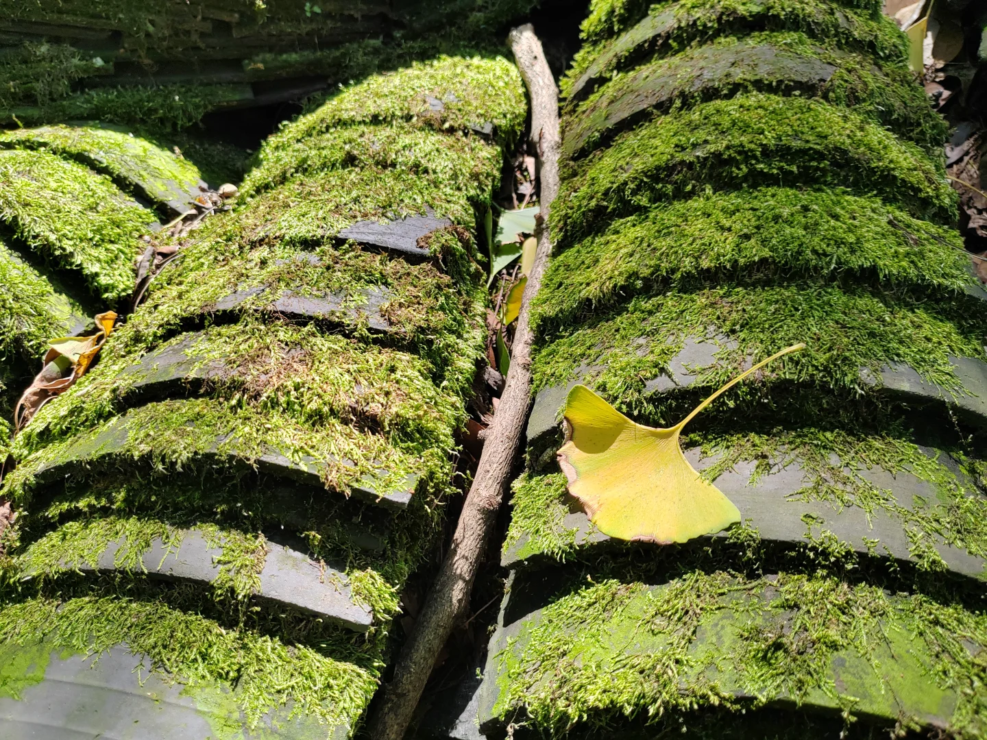 都江堰景区
