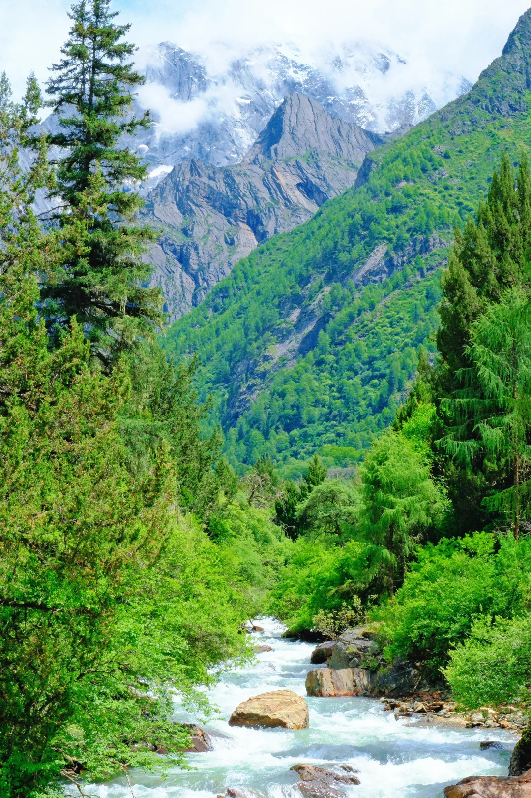 四姑娘山