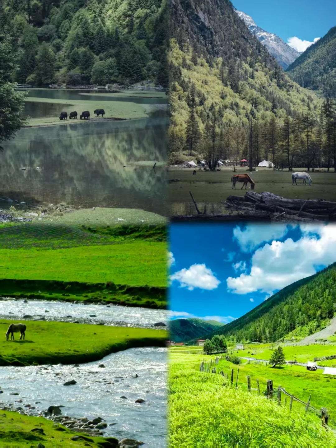 新都桥旅游攻略：慢游藏区秘境 🏞️🚶