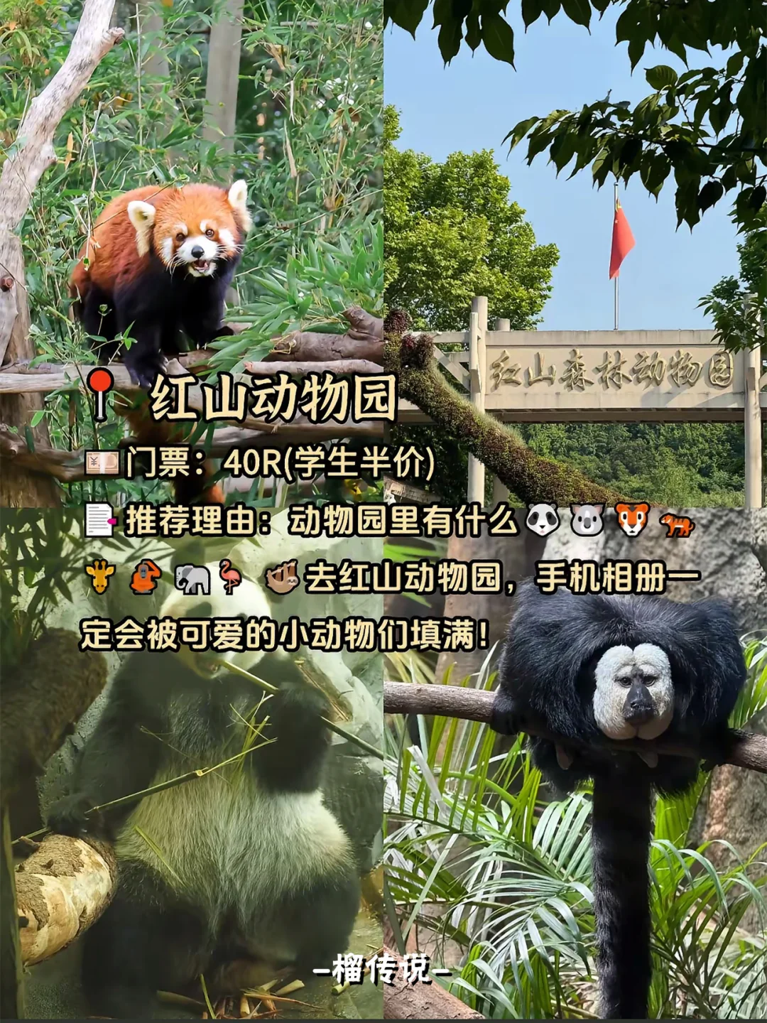来南京必去的9大景点丨唯一缺点：太出片