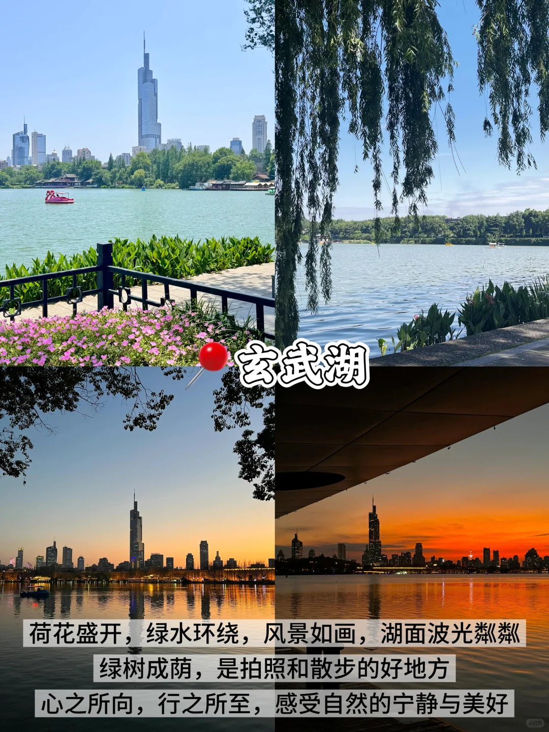 南京📍两天一夜｜不废腿版保姆级逛吃攻略‼️