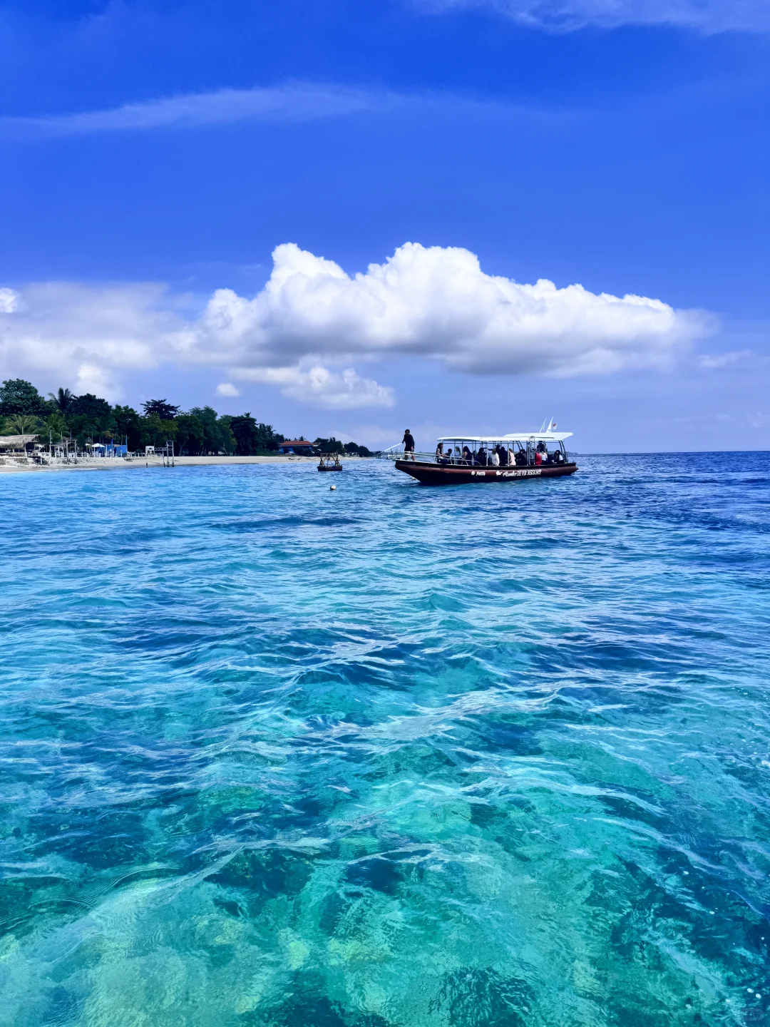 巴厘岛旅游｜喜欢玻璃海里的海葵和珊瑚🪸