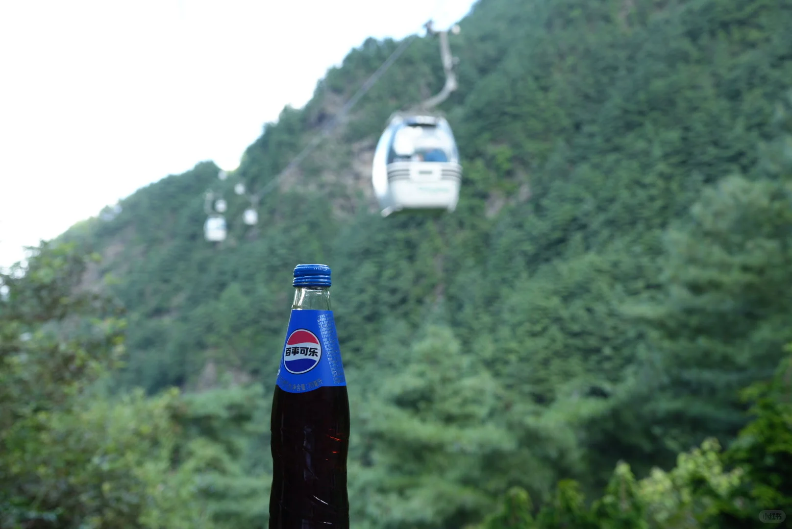 苍山