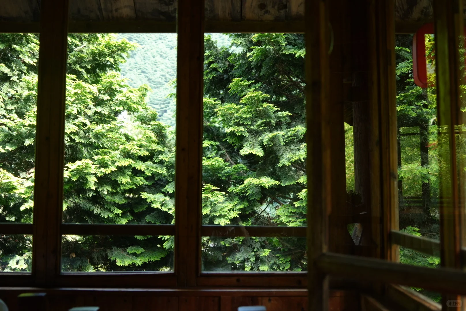 苍山