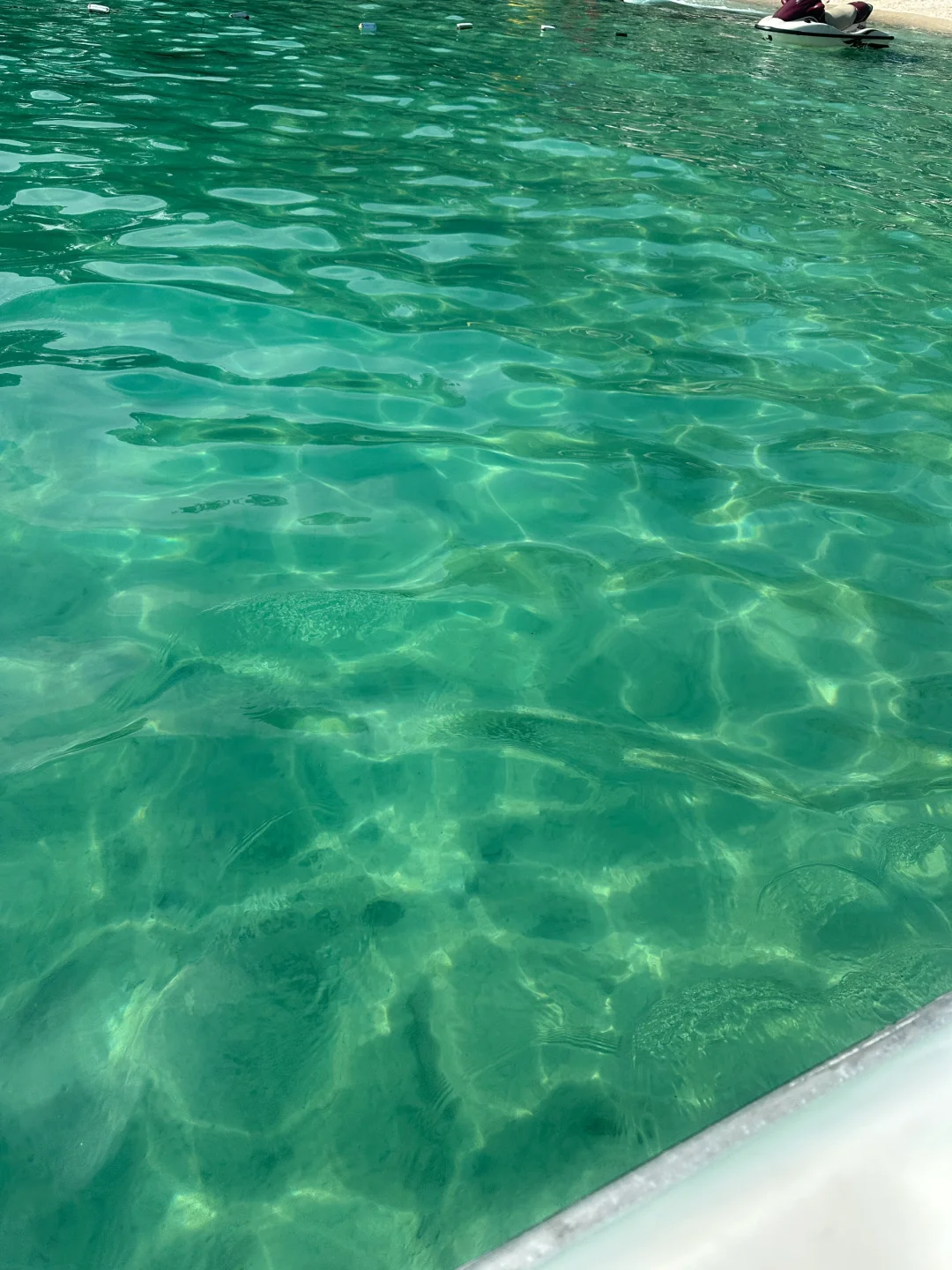 🐚 •*¨*•果冻海𓇼 🐬