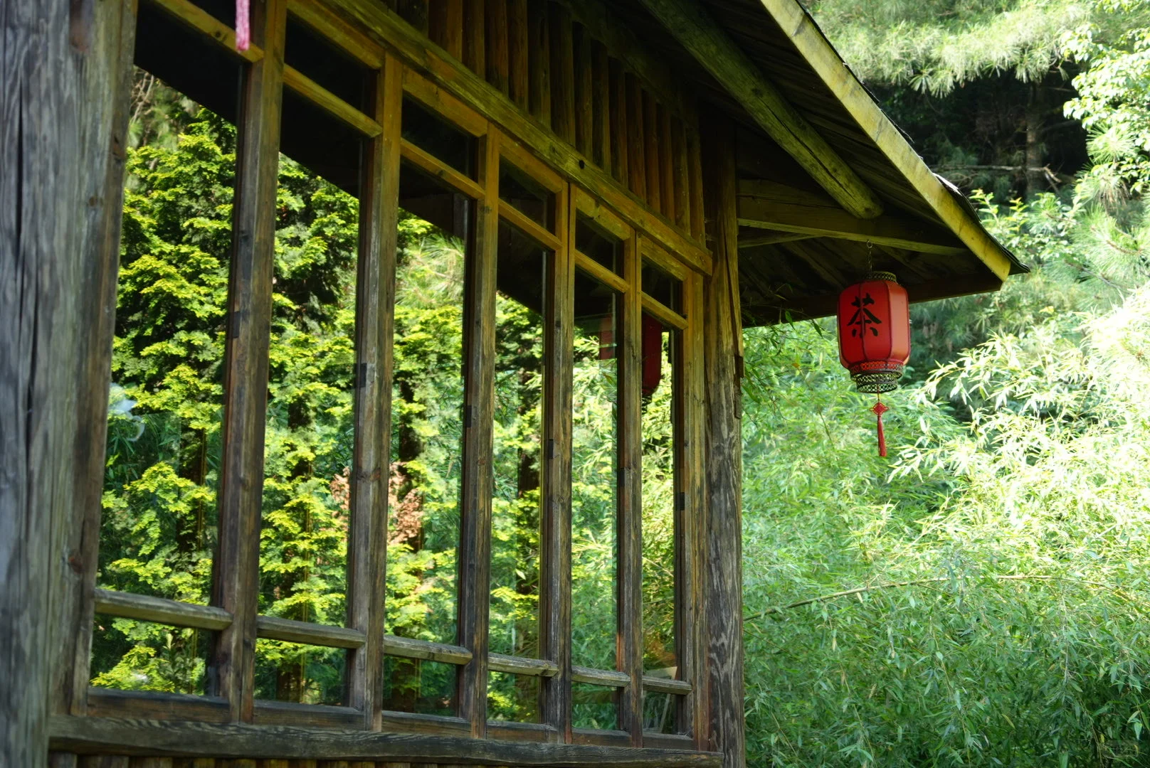 苍山