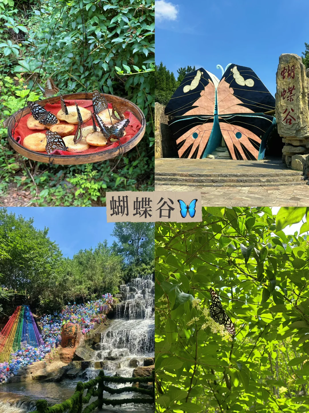 在临沂！！超适合暑期（家庭版）自驾懒人攻略