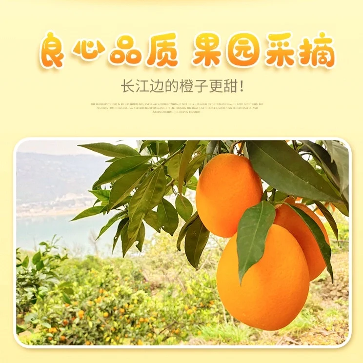 789月带娃出游重庆游必玩景区奉节一日游