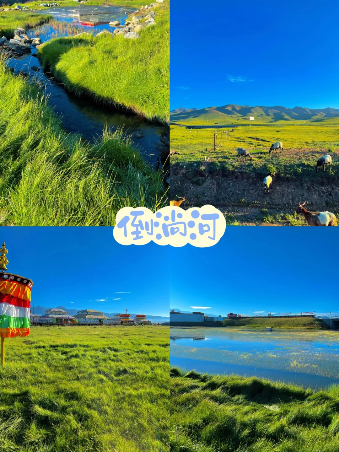 青甘小环线4天就搞定🏕｜人均1.4K💰