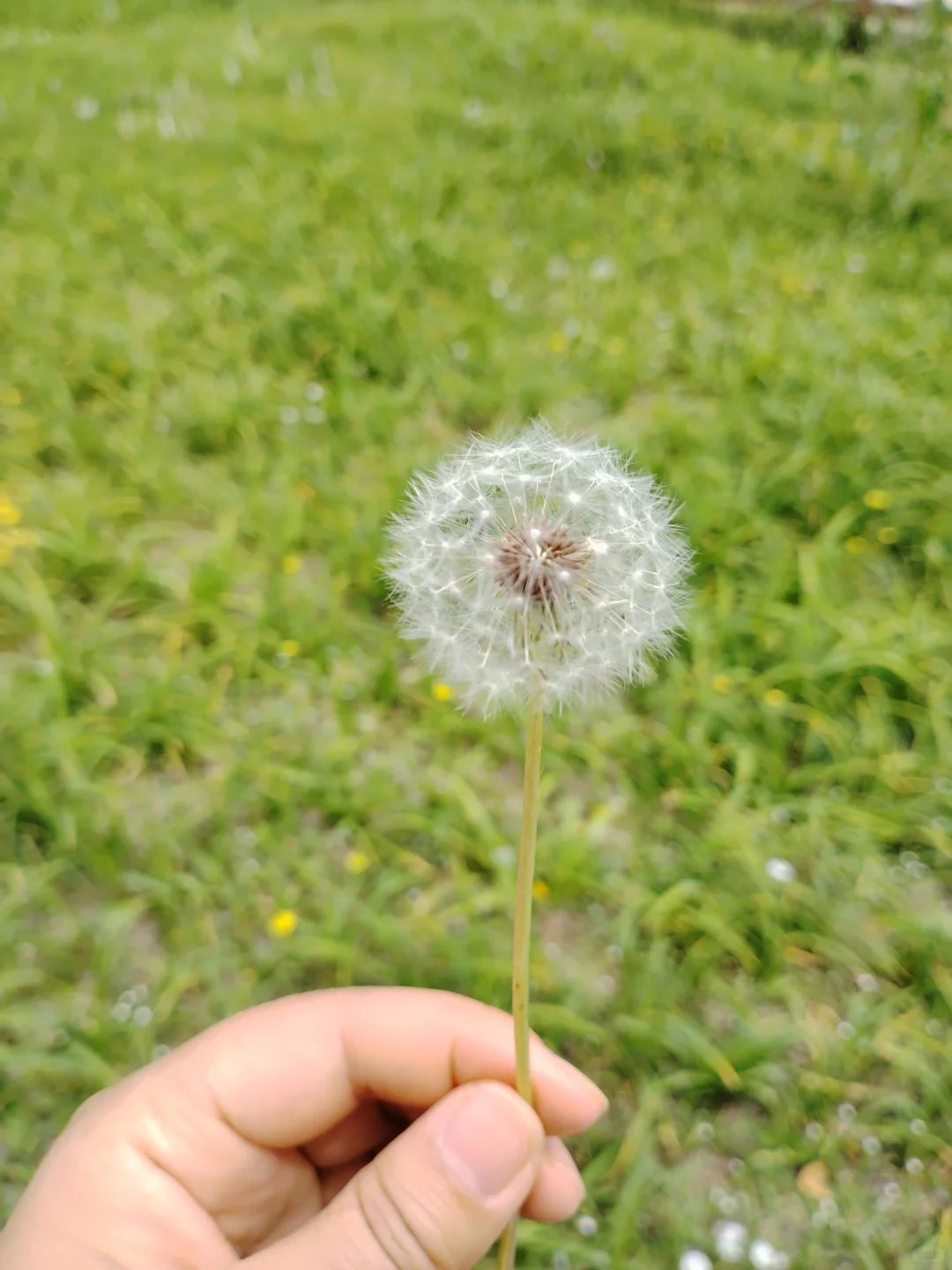 来秦皇岛3天2晚的游玩攻略