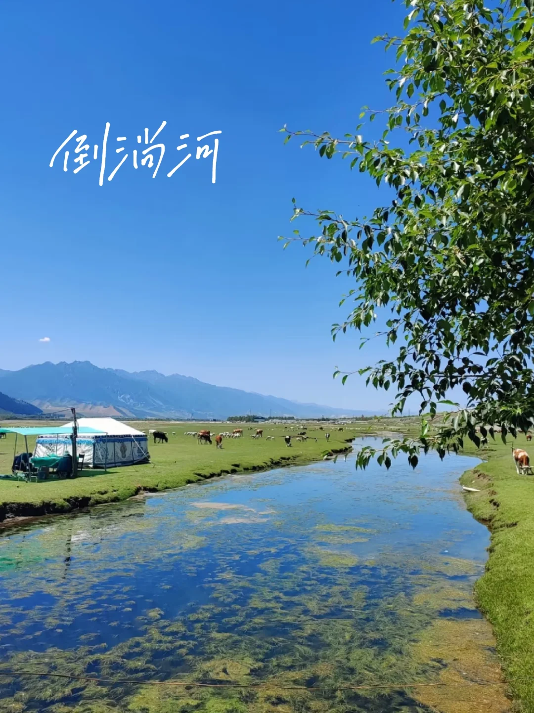 5-8月凉爽游，去青海玩3天🍉|人均1000