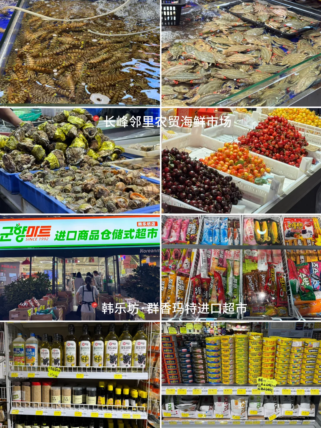 土著推荐 | 🏖️青岛+威海亲子游打卡攻略