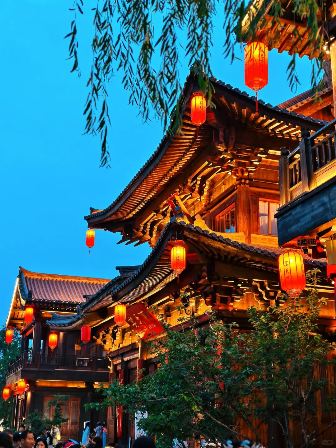 为什么我去洛阳旅游之前没刷到这一篇