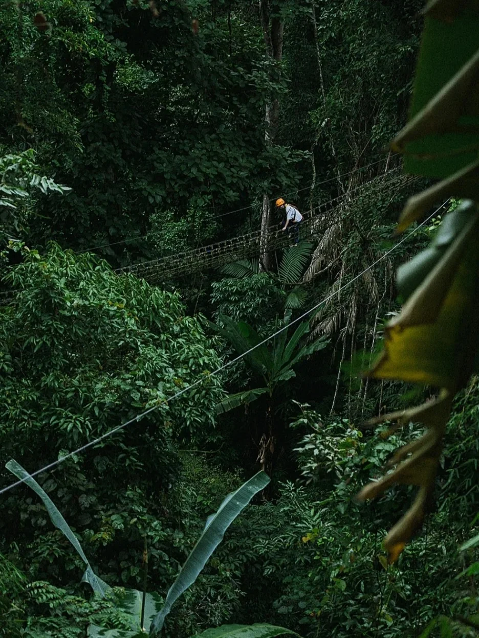 清迈必玩篇 | 也想像猿人泰山一样呐喊🐒