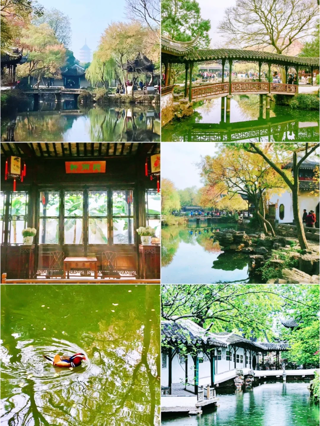 一天去乌镇水乡玩，不踩雷攻略