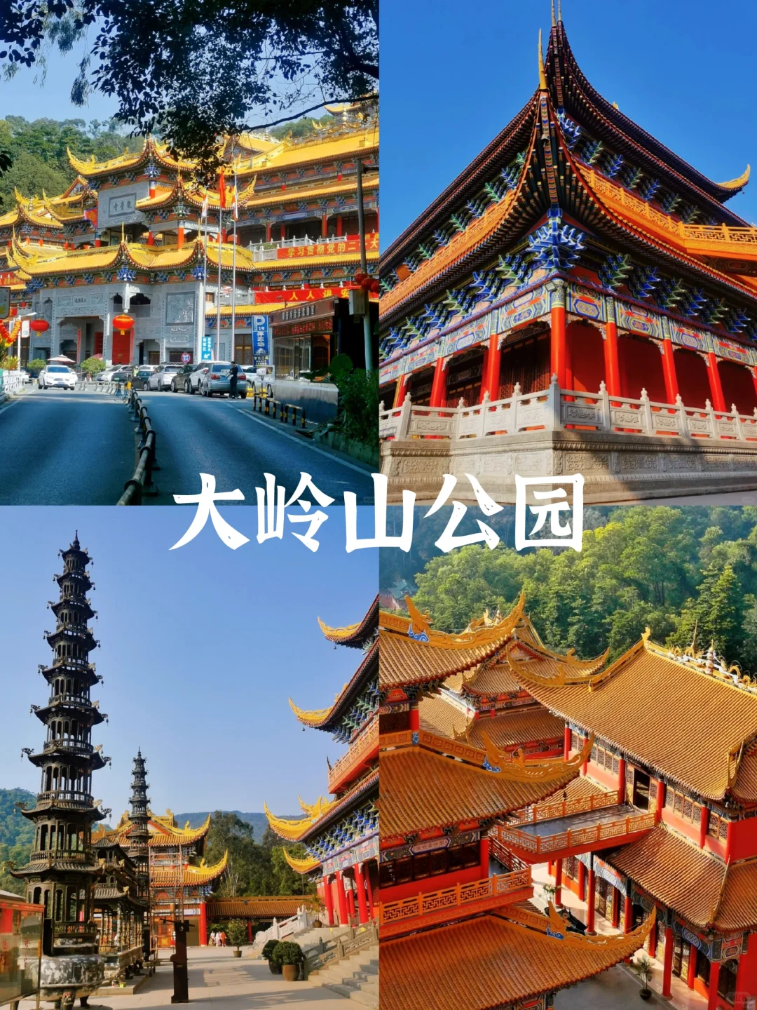 📍东莞周末出游｜必打卡6大热门景点📝
