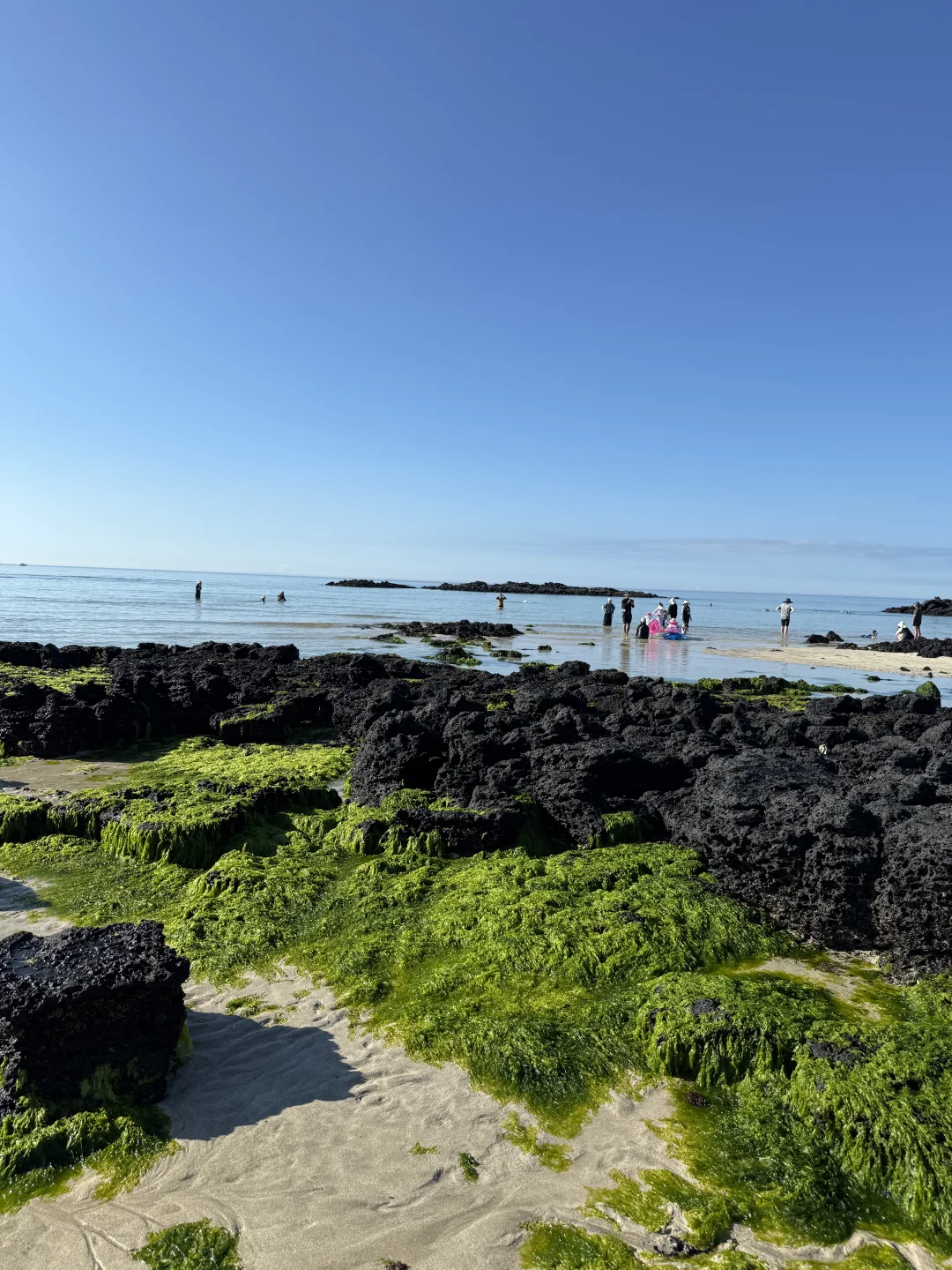 济州岛vlog