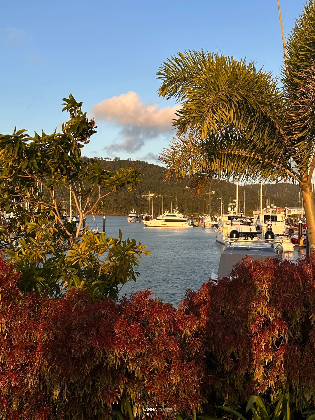 🏝️比大堡礁还美！这个小众海岛包出片的📷