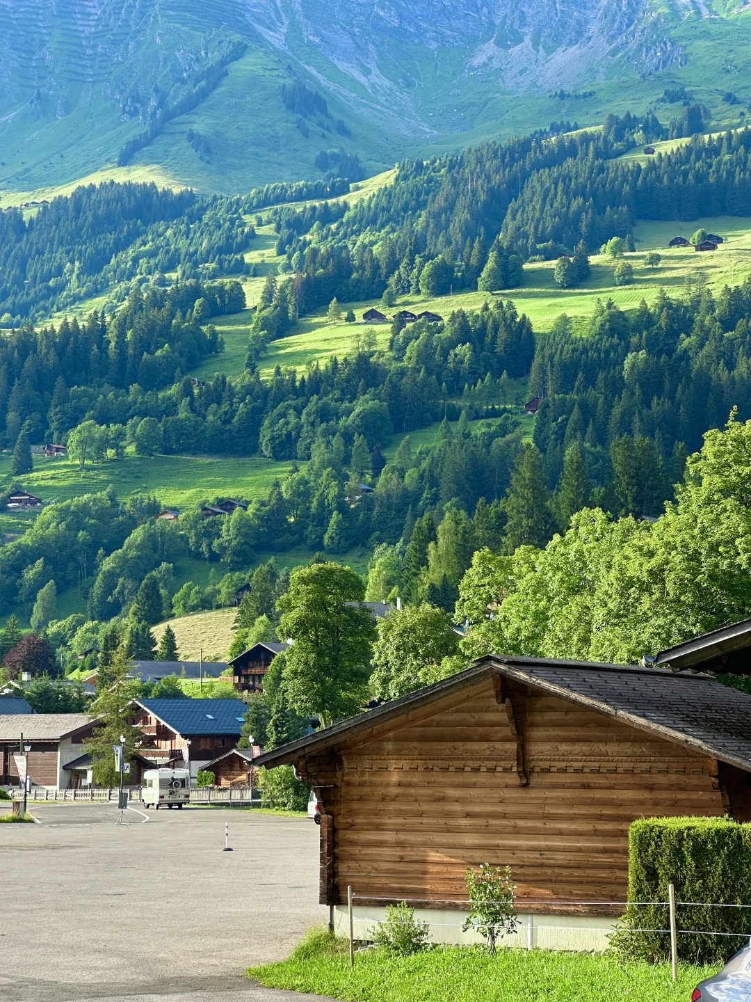 年轻人不要轻易来瑞士🇨🇭