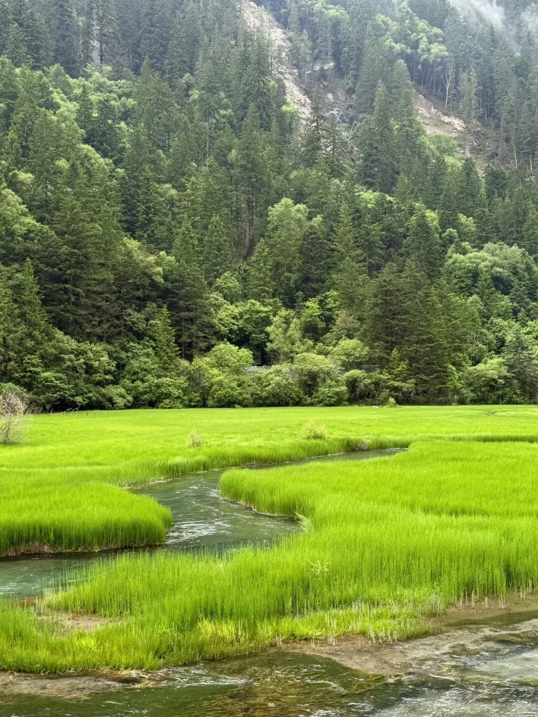 7.28📍九寨沟旅游现状。。踩雷踩到崩溃