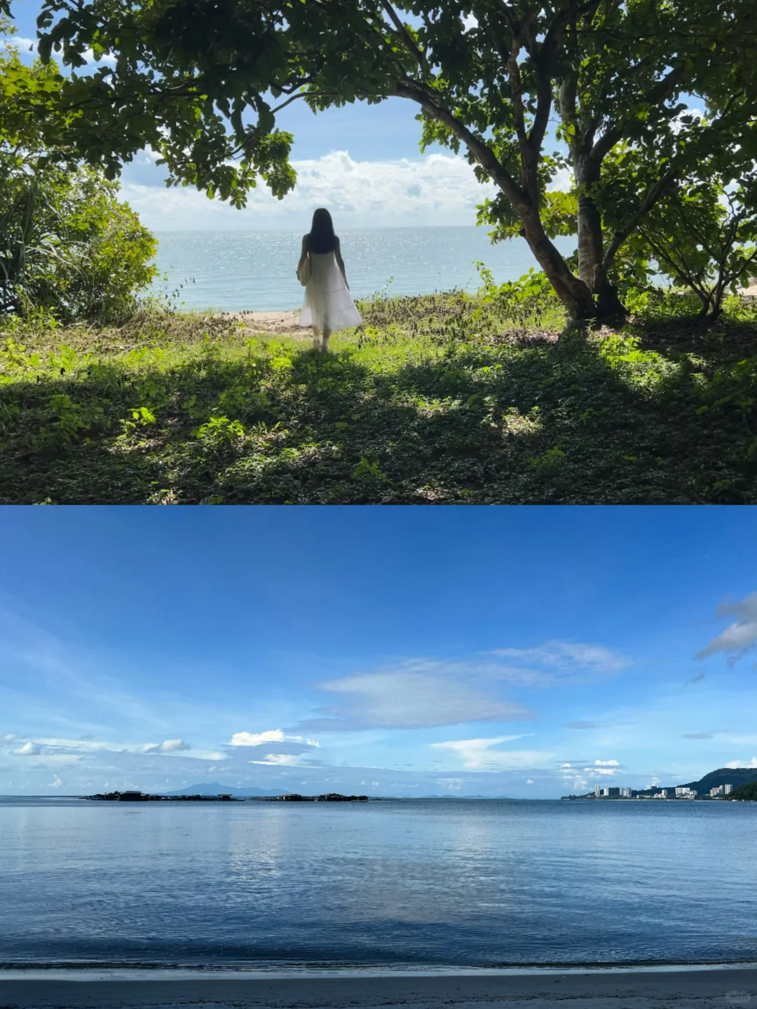 北纬5°徒步穿越热带雨林🐒槟城国家公园