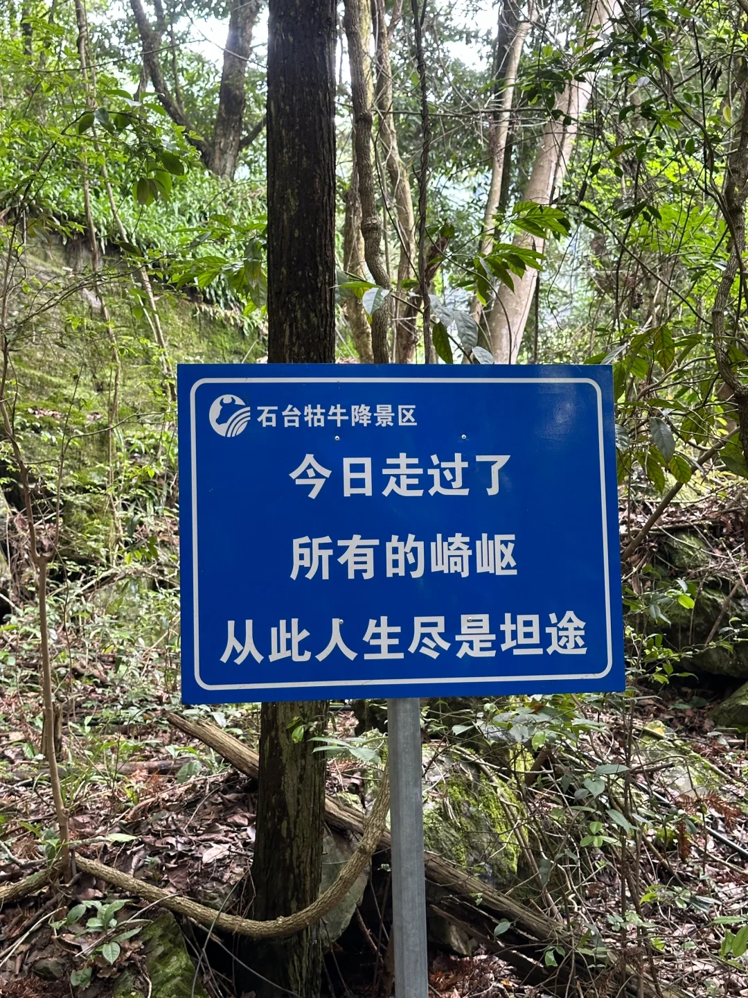抄作业❗️❗️去池州这样玩～