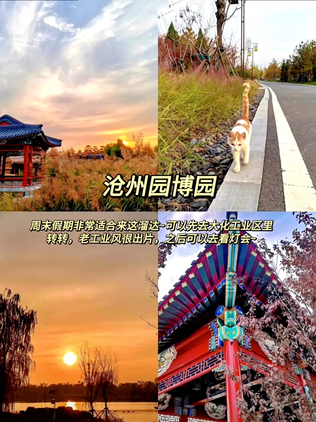 河北沧州旅行清单 | 9个必打卡地✅