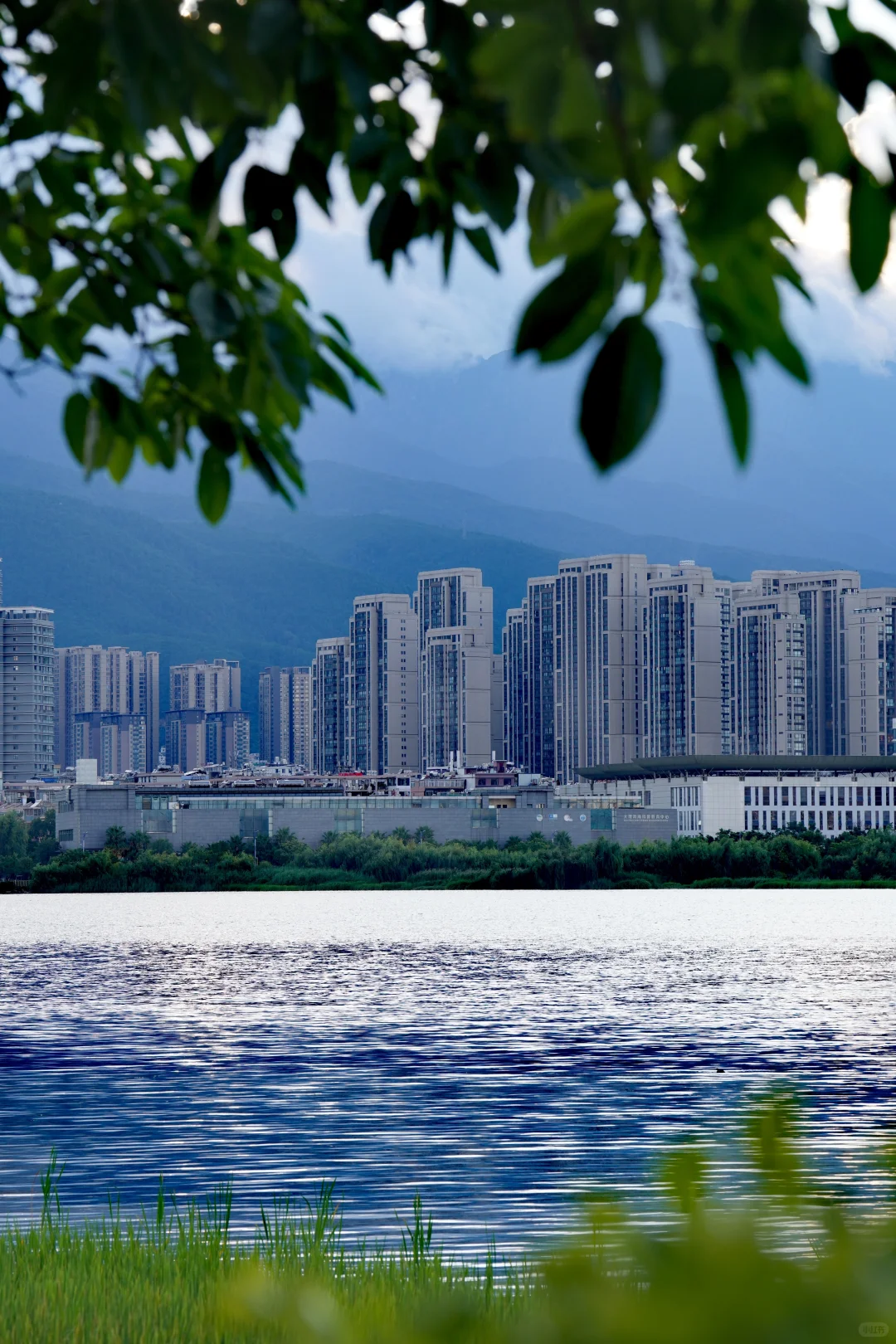 我在洱海等你