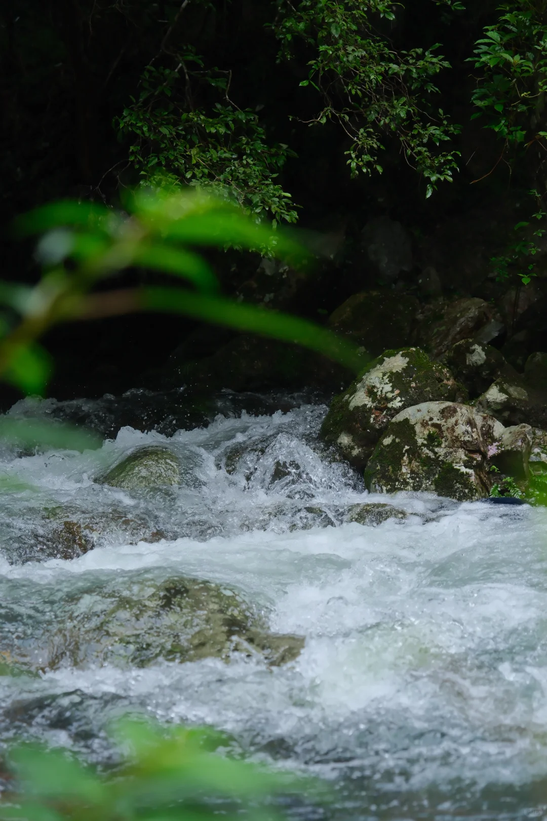 公盂48h｜仙居古村⛰️