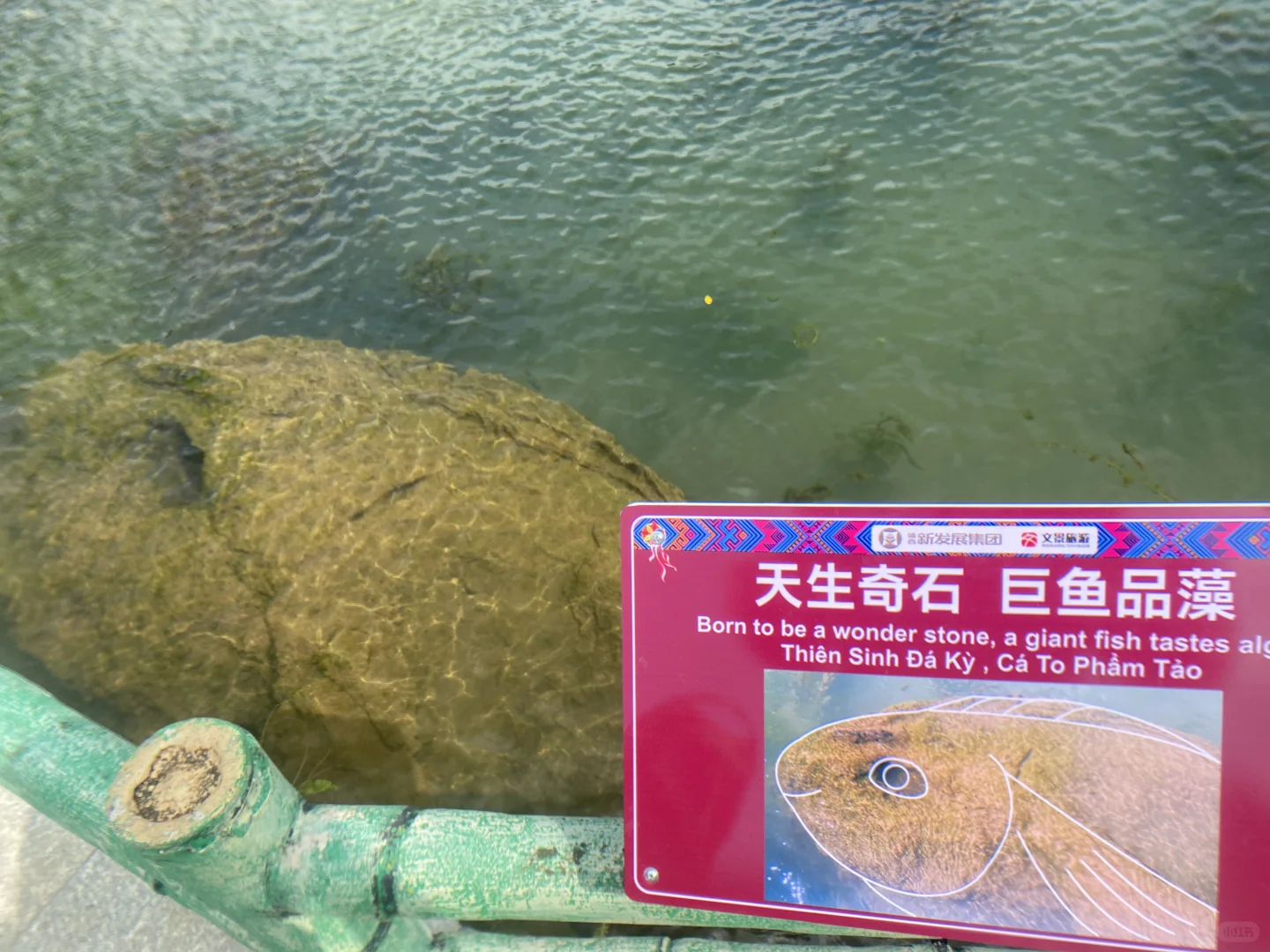 G219国之大道D7