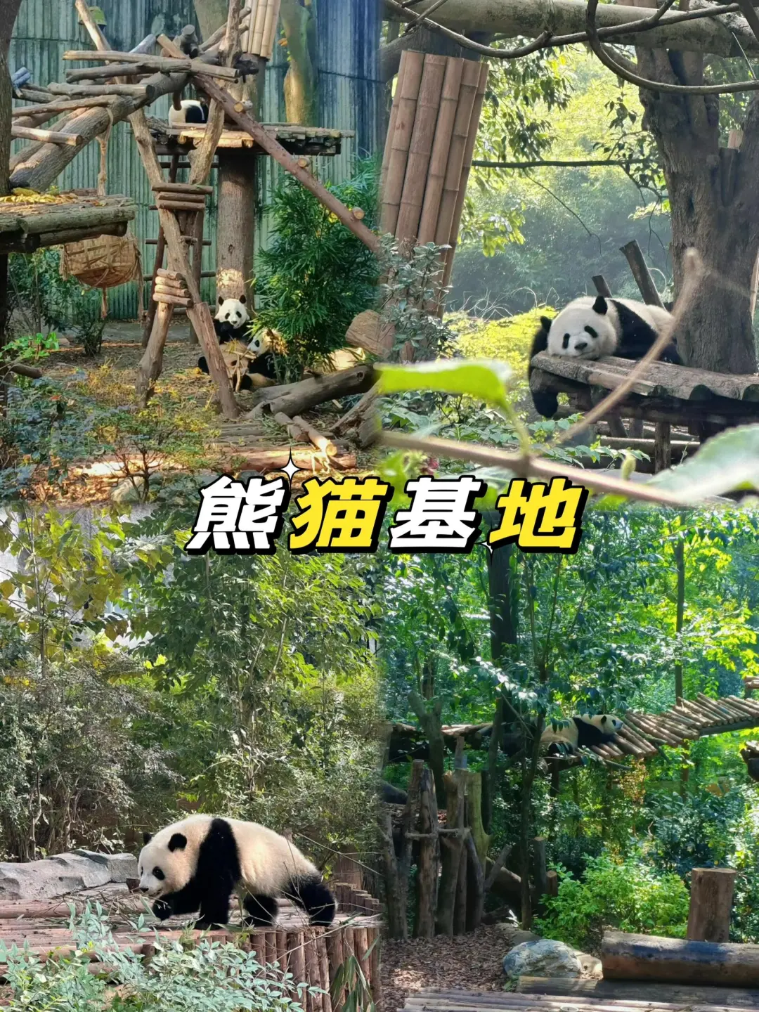 四川必玩的9大景点，闭眼跟不踩雷真的要听劝