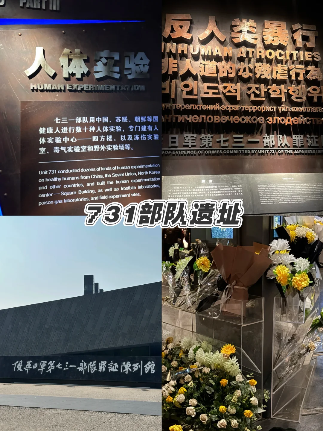 哈尔滨夏季必看旅行攻略❗️