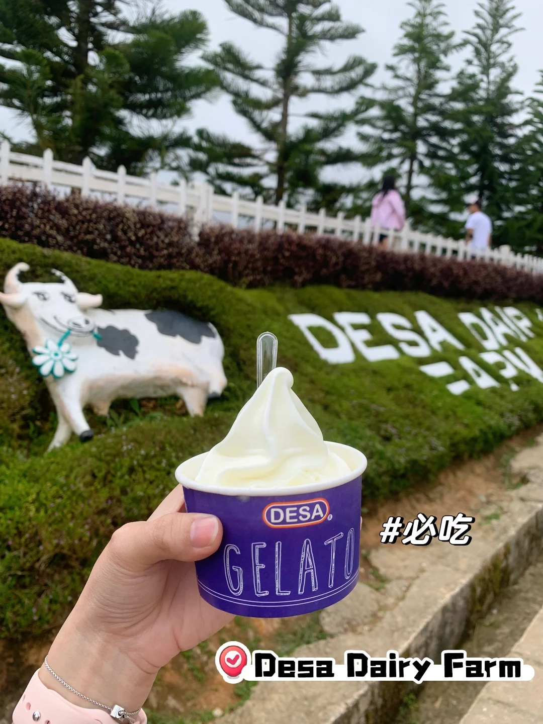 🇲🇾沙巴神山Kundasang必打景点+美食推荐！