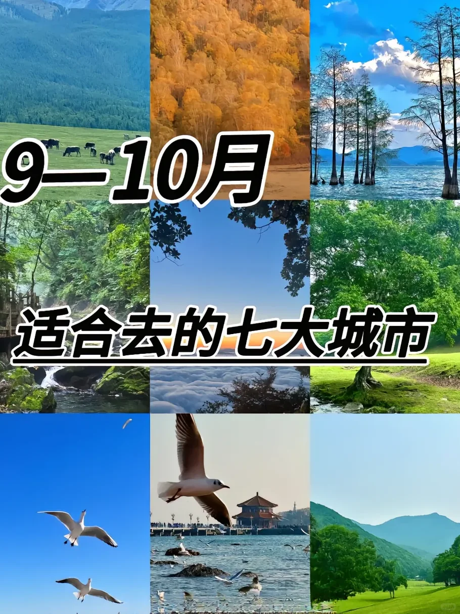 超适合去的七大城市！！！🐳🐳