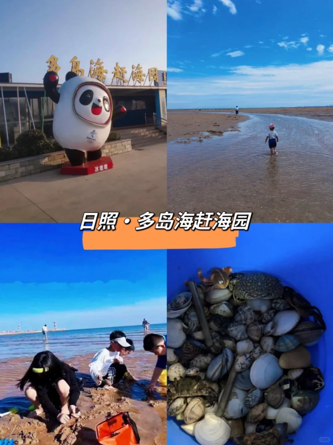 暑假遛娃｜北京出发🚄高铁直达的海边城市🌊