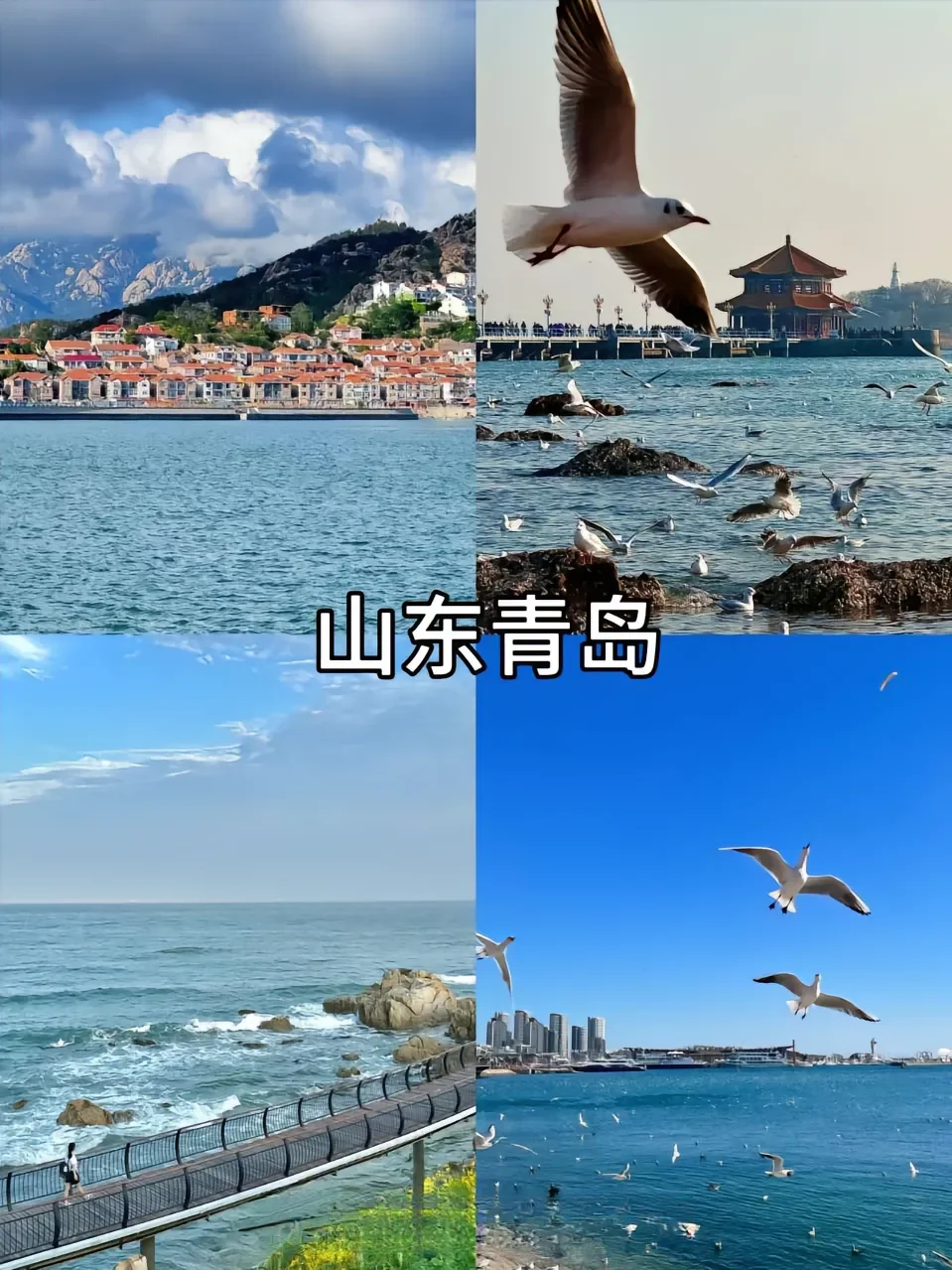 超适合去的七大城市！！！🐳🐳