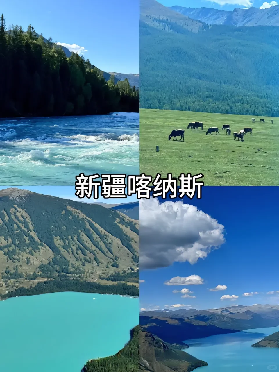 超适合去的七大城市！！！🐳🐳