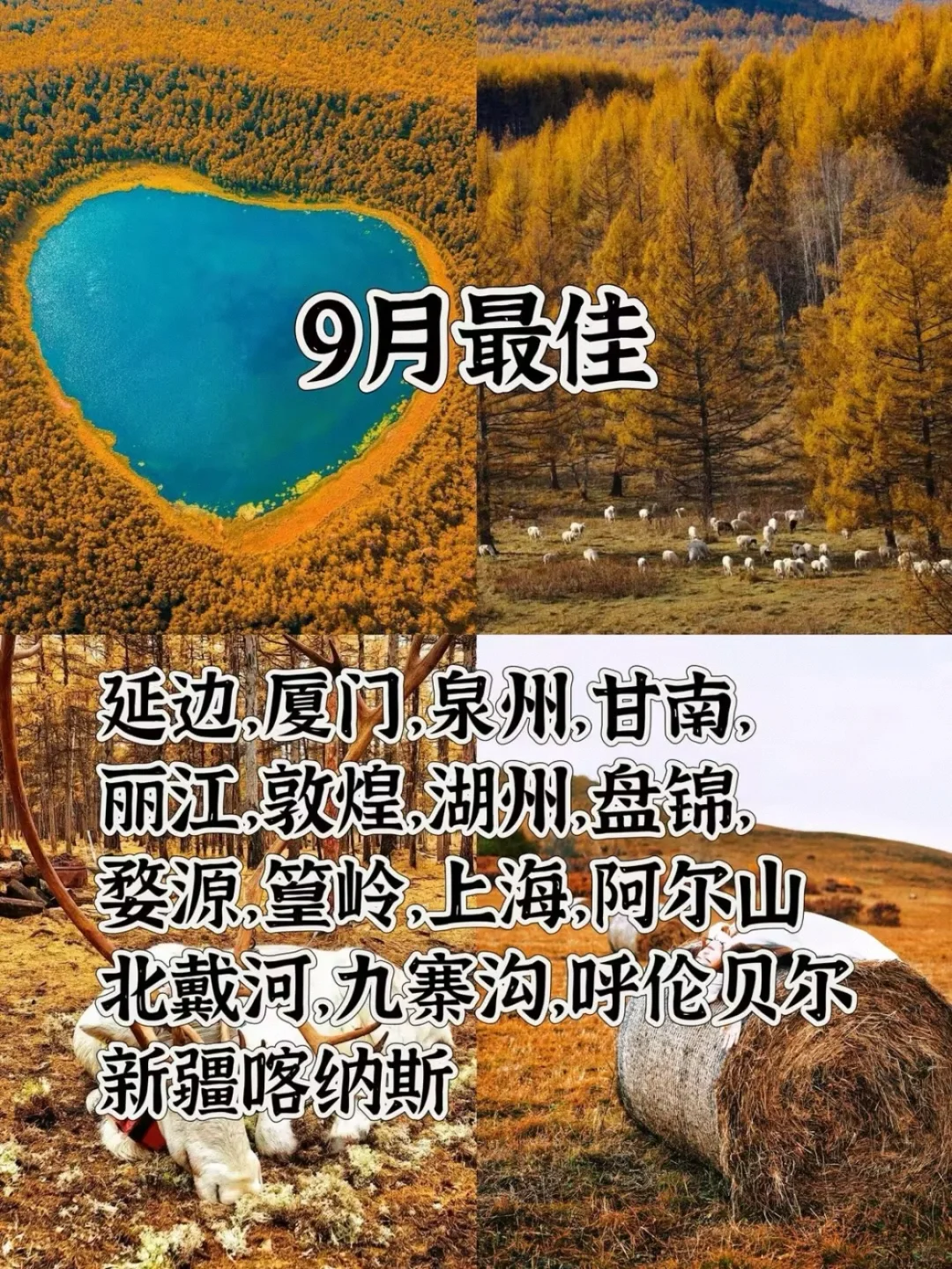 全国最佳旅游推荐🤔