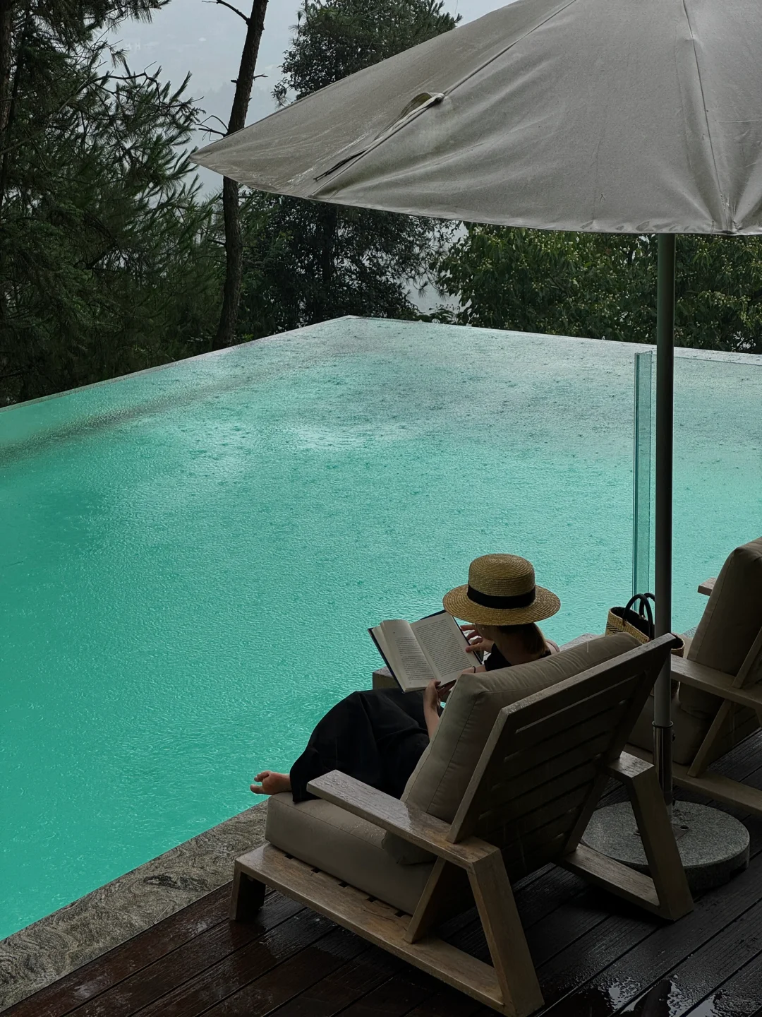 live雨天森林里的staycation🌧️