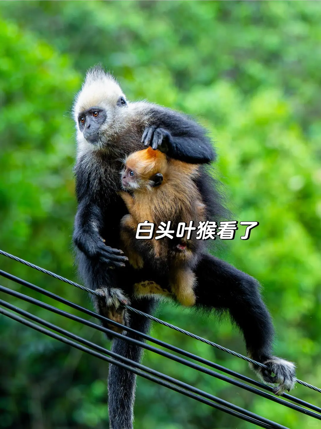 和老公带娃去了崇左，真的比新西兰还震撼！