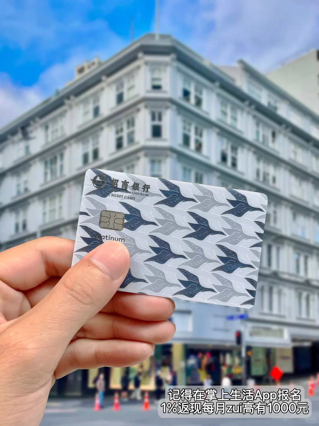 🇳🇿新西兰｜在松弛里把日子过成诗