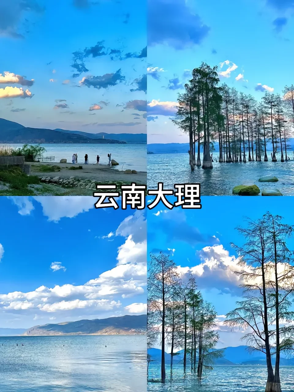 超适合去的七大城市！！！🐳🐳